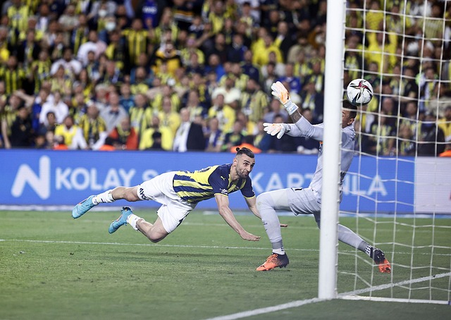 迷感到遗憾 迷感到遗憾