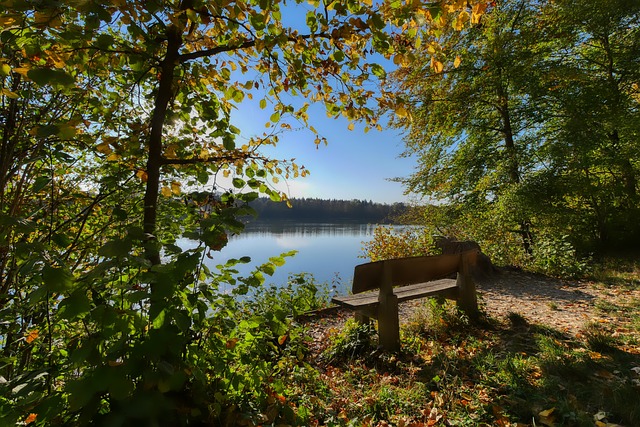 Opta欧冠冠军预测：利物浦排名第一，曼城、国米紧随其后.