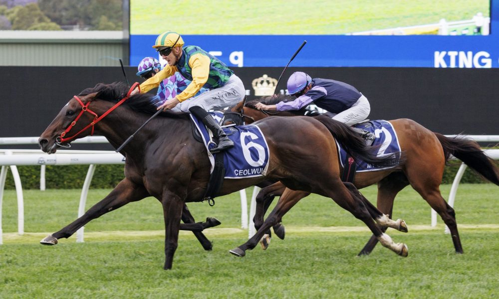 秘诀之一 秘诀之一